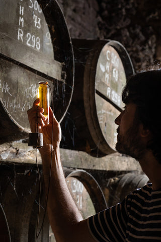 COGNAC BOURGOIN PINEAU 2010