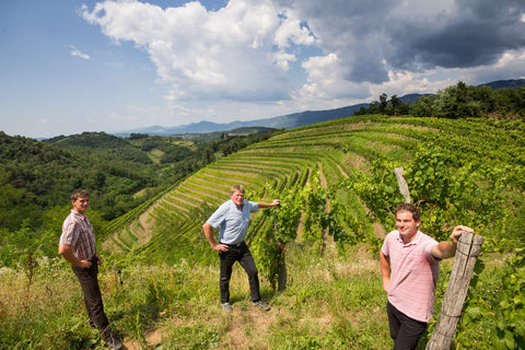 ČRNO VINO ROSSO 1L